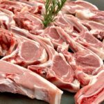 Agnello